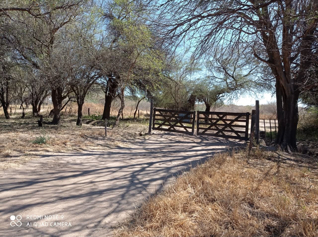 Campo ganadero mixto 1550 ha con casco y aguadas
