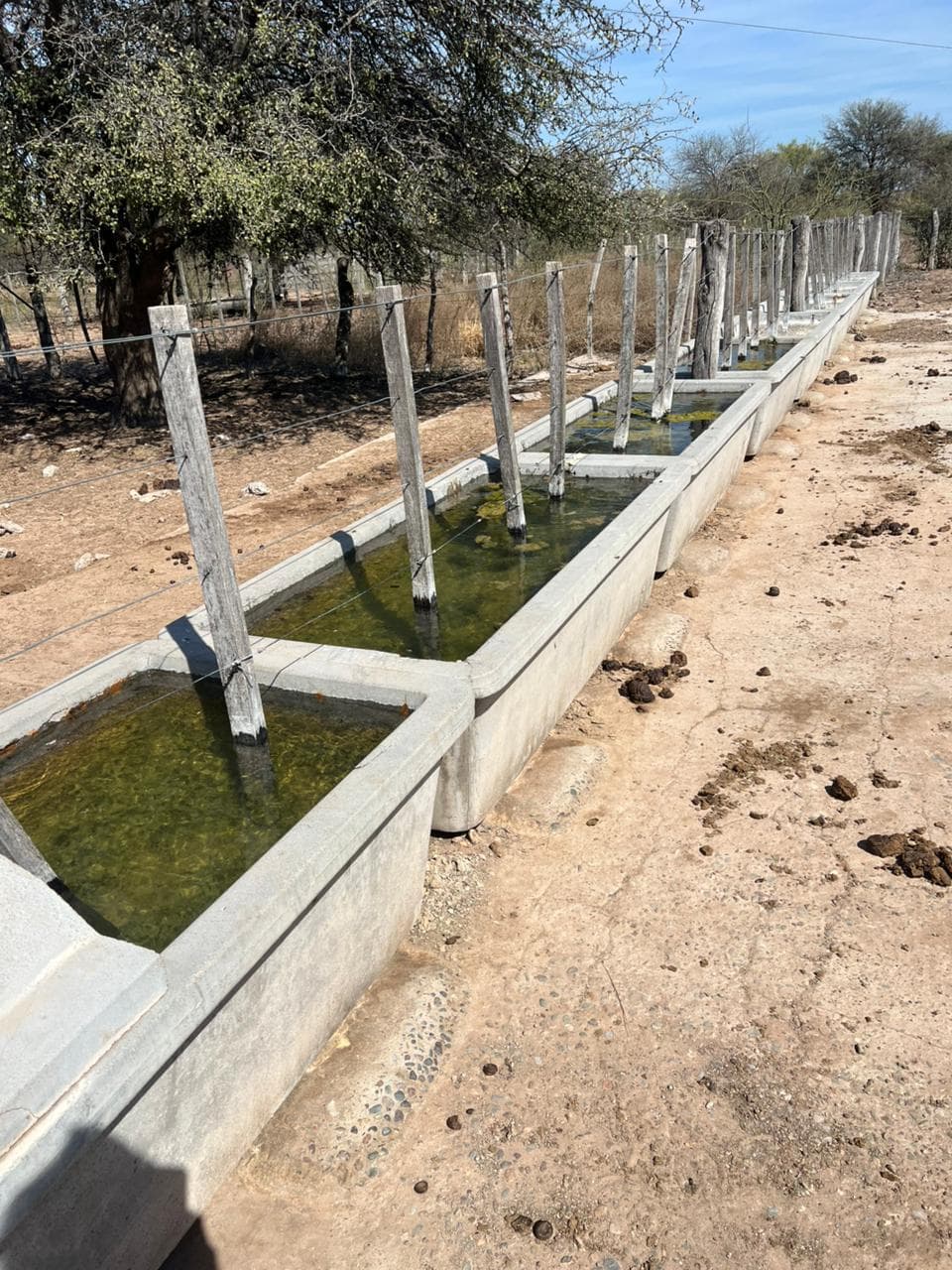 CAMPO GANADERO DE 800 HA. CON INSTALACIONES